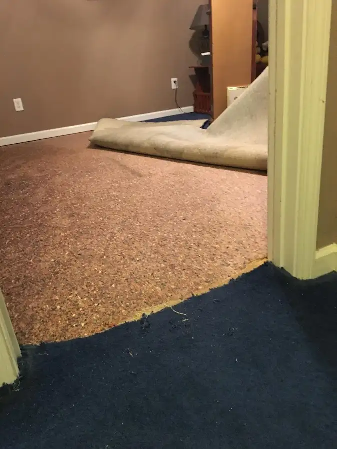Carpet pad removal revealing water damage during Drying & Dehumidification in Petaluma