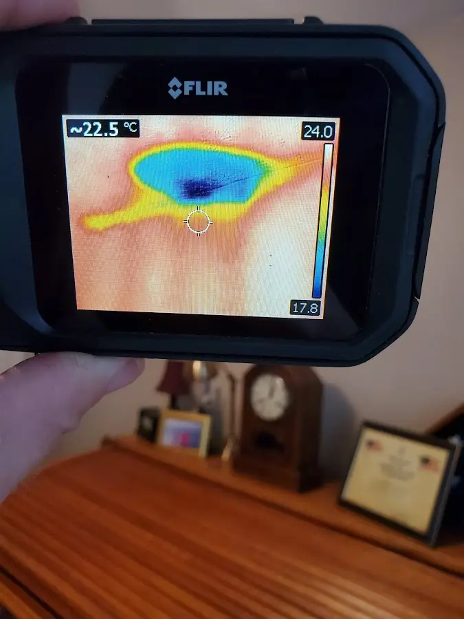 Thermal imaging inspection for water damage in Petaluma